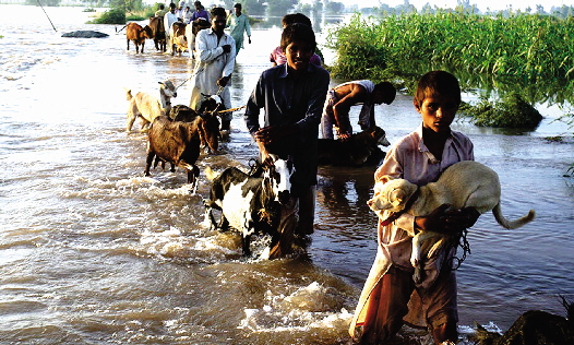 Pakistan Floods 4